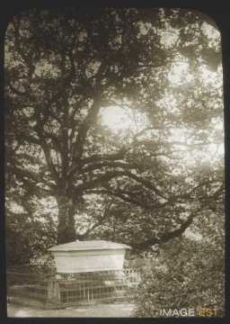 Tombe de Gustave Révilliod (Genève)